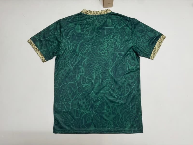 AAA(Thailand) Brazil 2026 Special Soccer Jersey 13