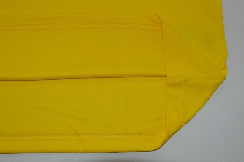 AAA(Thailand) Brazil 2026 Training Vest Soccer Jersey