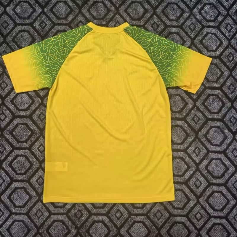 AAA(Thailand) Burkina Faso 25/26 Special Soccer Jersey