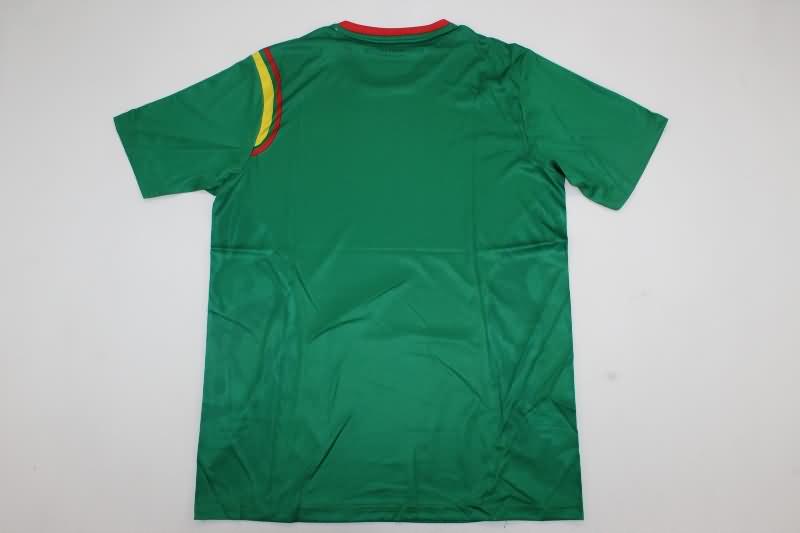 AAA(Thailand) Cameroon 2024/25 Home Soccer Jersey