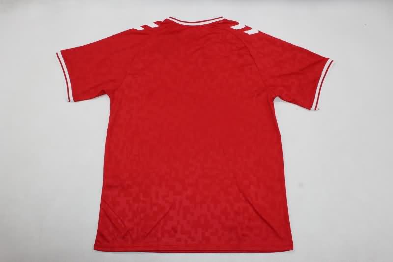 AAA(Thailand) Danmark 2024 Home Soccer Jersey