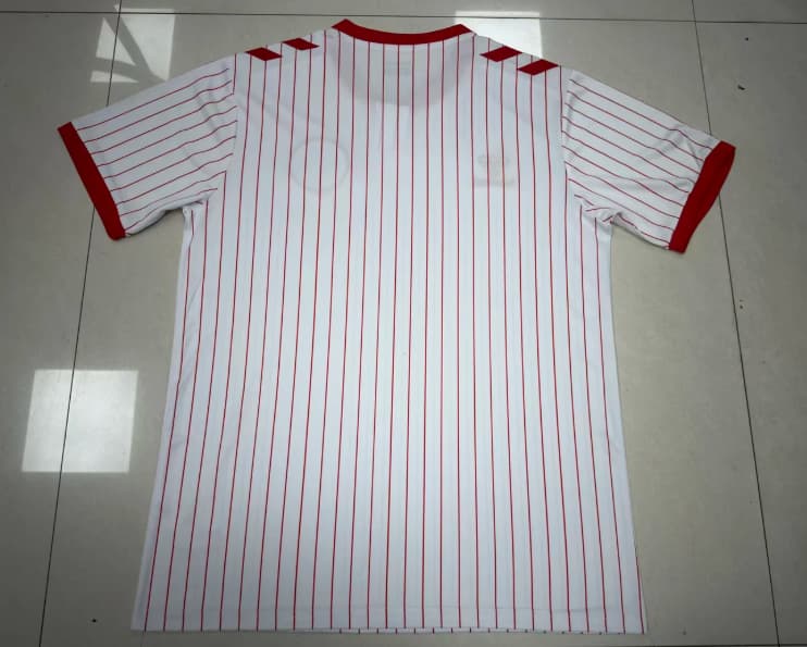 AAA(Thailand) Danmark 2026 Away Soccer Jersey