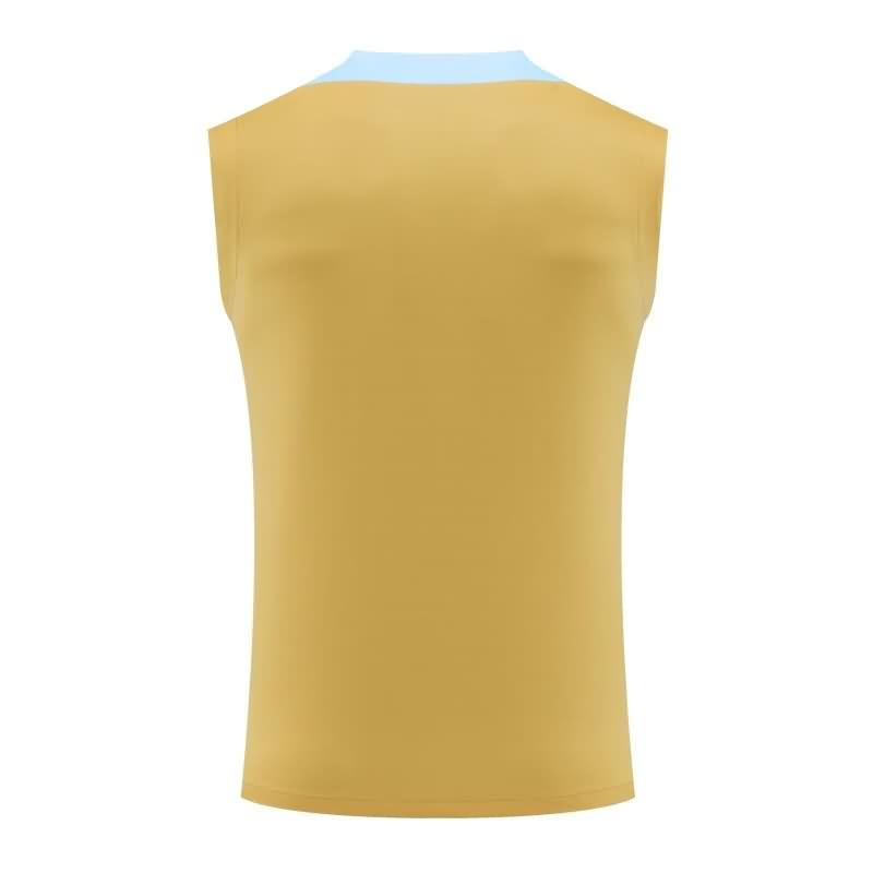 AAA(Thailand) France 2024 Training Vest Soccer Jersey 03