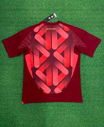 AAA(Thailand) Germany 2025 Female EURO Away Soccer Jersey