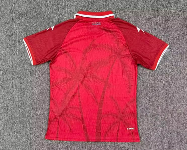 AAA(Thailand) Haiti 2026 World Cup Third Soccer Jersey (Player)