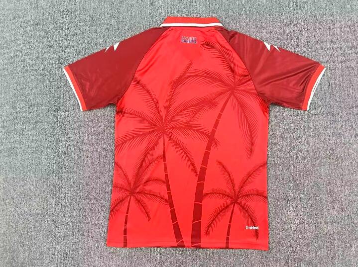 AAA(Thailand) Haiti 2026 World Cup Third Soccer Jersey