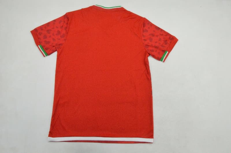 AAA(Thailand) Iran 2026 World Cup Away Soccer Jersey