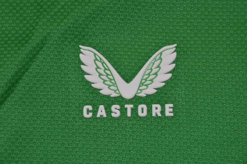 AAA(Thailand) Ireland 2025 Home Soccer Jersey (Player)