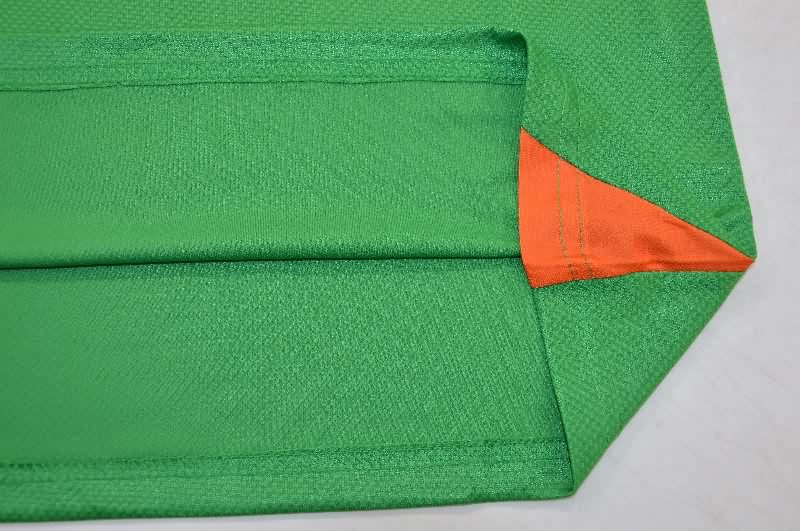 AAA(Thailand) Ireland 2025 Home Soccer Jersey (Player)