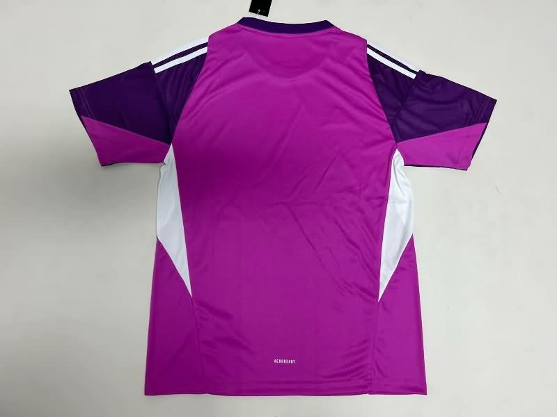 AAA(Thailand) Italy 2025 Goalkeeper Purple Soccer Jersey