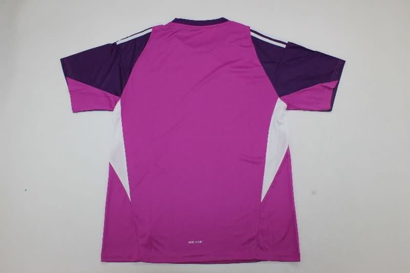 AAA(Thailand) Italy 2025 Goalkeeper Purple Soccer Jersey