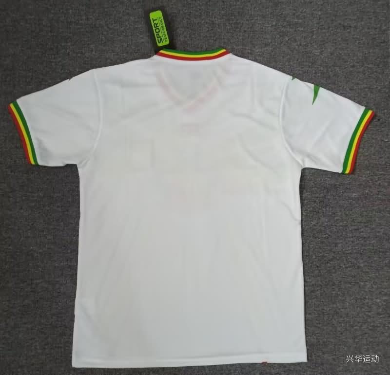 AAA(Thailand) Mali 2023 Away Soccer Jersey