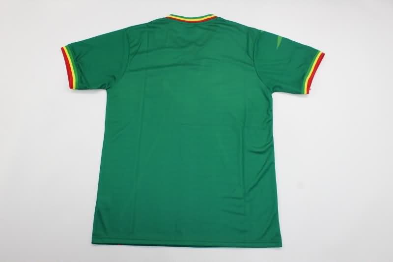 AAA(Thailand) Mali 2023 Home Soccer Jersey