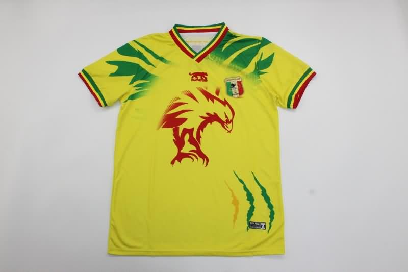 AAA(Thailand) Mali 2023 Training Soccer Jersey