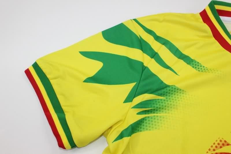 AAA(Thailand) Mali 2023 Training Soccer Jersey