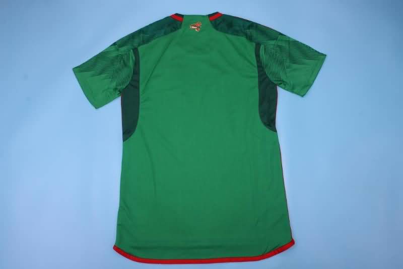 AAA(Thailand) Mexico 2022 World Cup Home Soccer Jersey