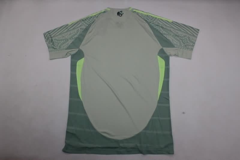 AAA(Thailand) Mexico 2024 Copa America Away Soccer Jersey (Player)