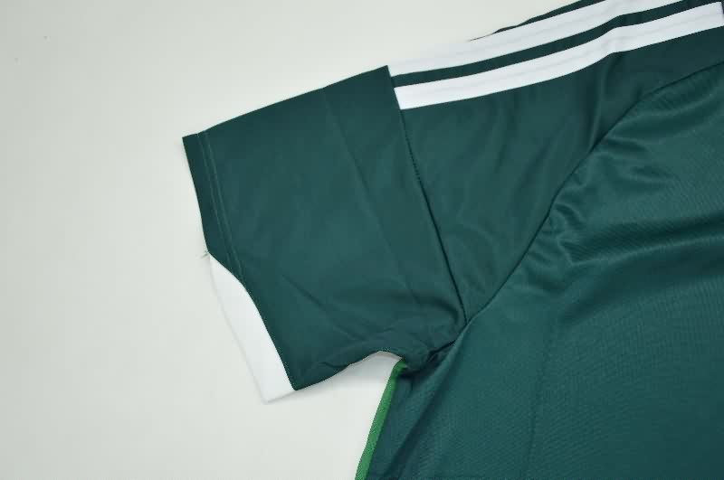 AAA(Thailand) Northern Ireland 2026 Home Soccer Jersey