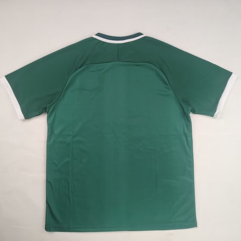 AAA(Thailand) Palestine 2026 Green Soccer Jersey
