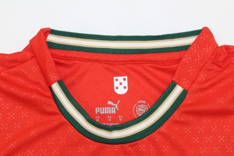 AAA(Thailand) Portugal 2025 Home Long Sleeve Soccer Jersey