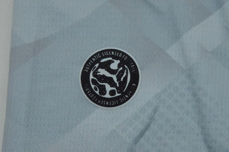 AAA(Thailand) Portugal 2026 Goalkeeper Grey Soccer Jersey