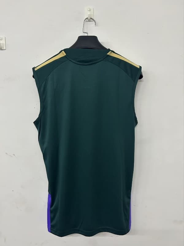 AAA(Thailand) Saudi Arabia 2026 Training Vest Soccer Jersey