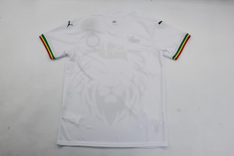 AAA(Thailand) Senegal 2024 Home Soccer Jersey