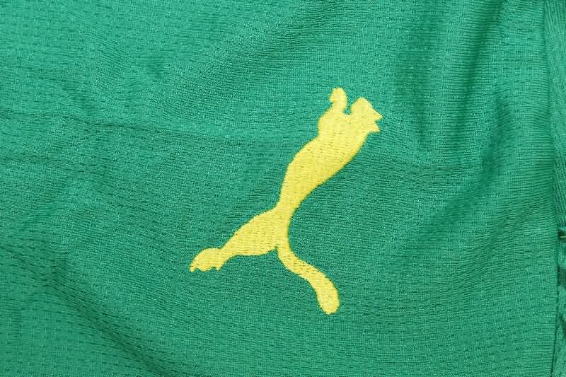 AAA(Thailand) Senegal 2025 Away Soccer Jersey
