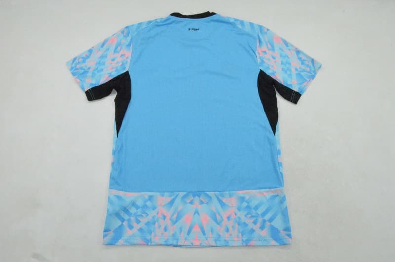 AAA(Thailand) Switzerland 2026 Goalkeeper Blue Soccer Jersey