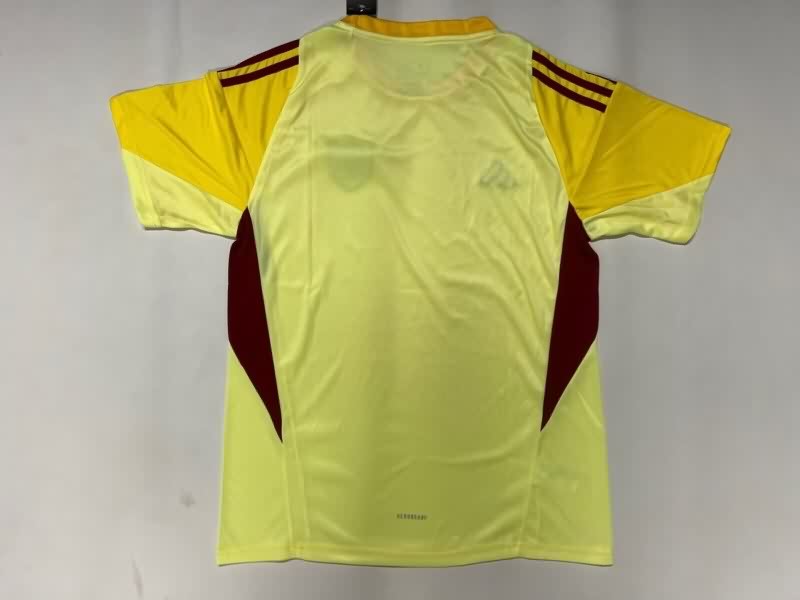AAA(Thailand) Venezuela 2025 Goalkeeper Yellow Soccer Jersey