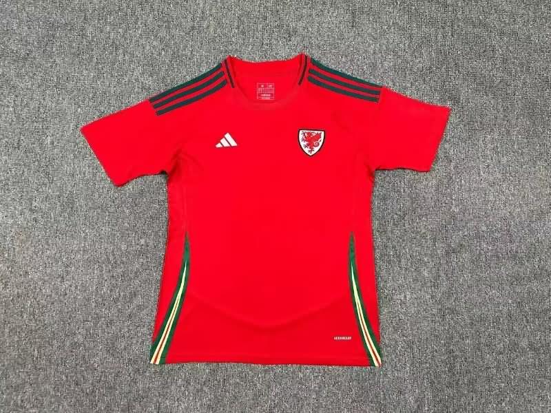 AAA(Thailand) Wales 2024 Home Soccer Jersey