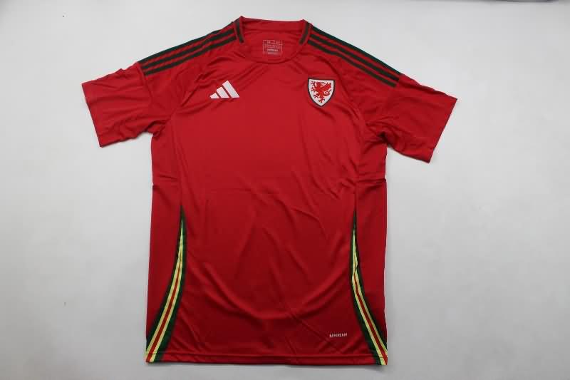 AAA(Thailand) Wales 2024 Home Soccer Jersey