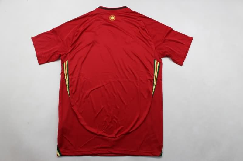 AAA(Thailand) Wales 2024 Home Soccer Jersey