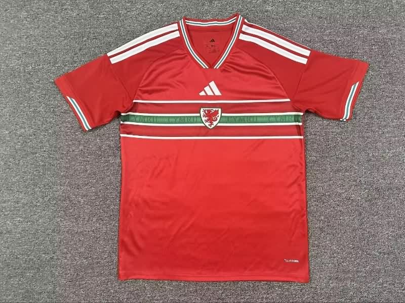 AAA(Thailand) Wales 2026 Home Soccer Jersey