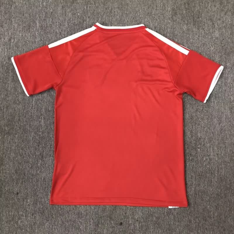 AAA(Thailand) Wales 2026 Red Soccer Jersey