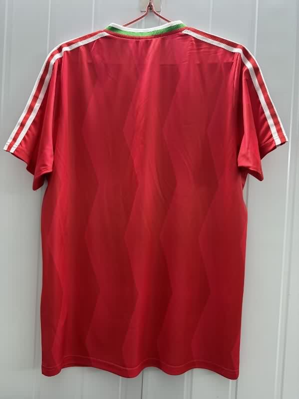 AAA(Thailand) Bulgaria 1986 Away Retro Soccer Jersey