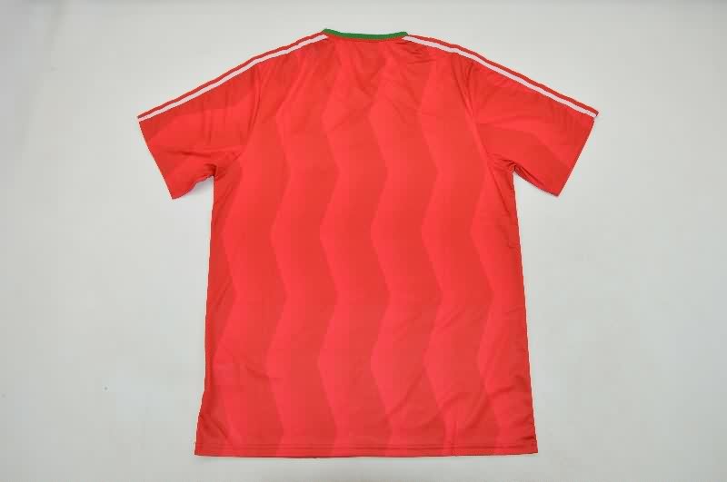 AAA(Thailand) Bulgaria 1986 Away Retro Soccer Jersey