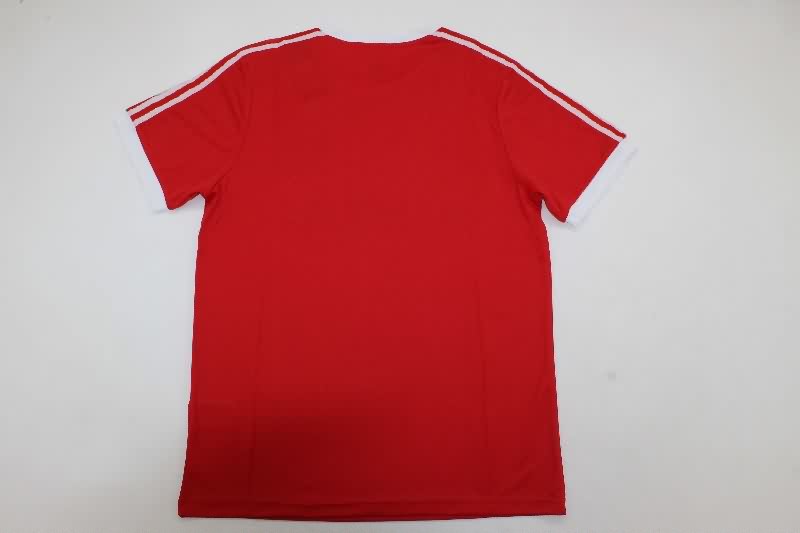 AAA(Thailand) Hamburger SV 1974/75 Away Retro Soccer Jersey
