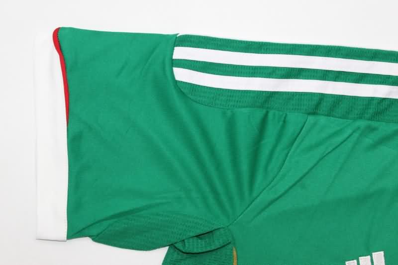 AAA(Thailand) Mexico 2011/12 Home Retro Soccer Jersey