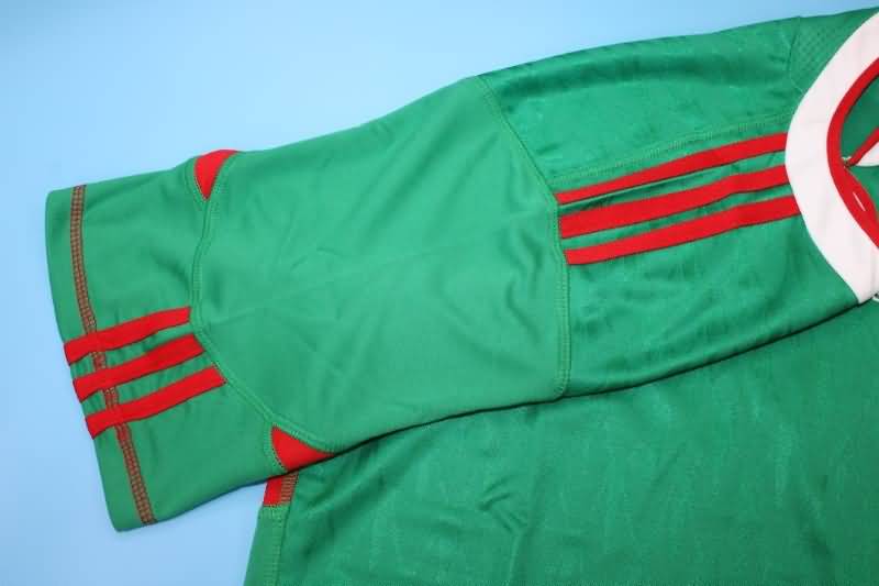 AAA(Thailand) Mexico 2010 Home Retro soccer Jersey