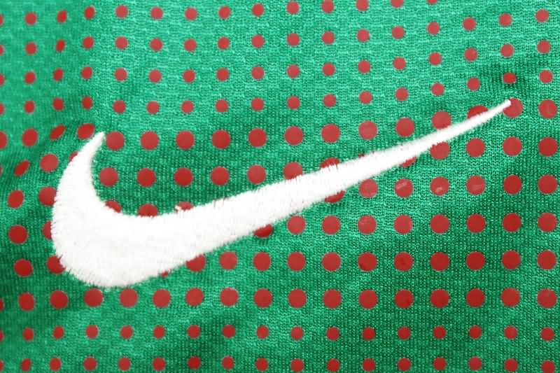 AAA(Thailand) Portugal 2010 Home Long Sleeve Retro Soccer Jersey (Player)