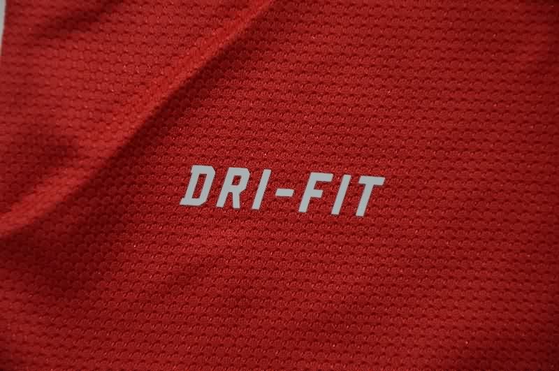 AAA(Thailand) Portugal 2012 Home Retro Soccer Jersey (Player)