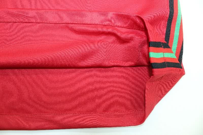 AAA(Thailand) Portugal 2020 Home Long Sleeve Retro Soccer Jersey