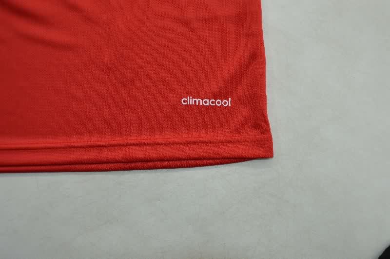 AAA(Thailand) Spain 2013 Home Long Sleeve Retro Soccer Jersey